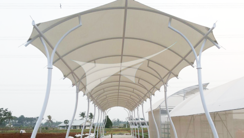 Canopy Membrane