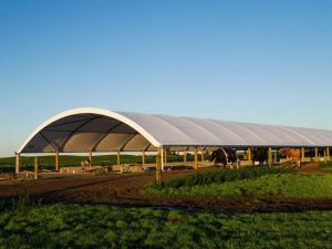 Canopy membrane lapang padel